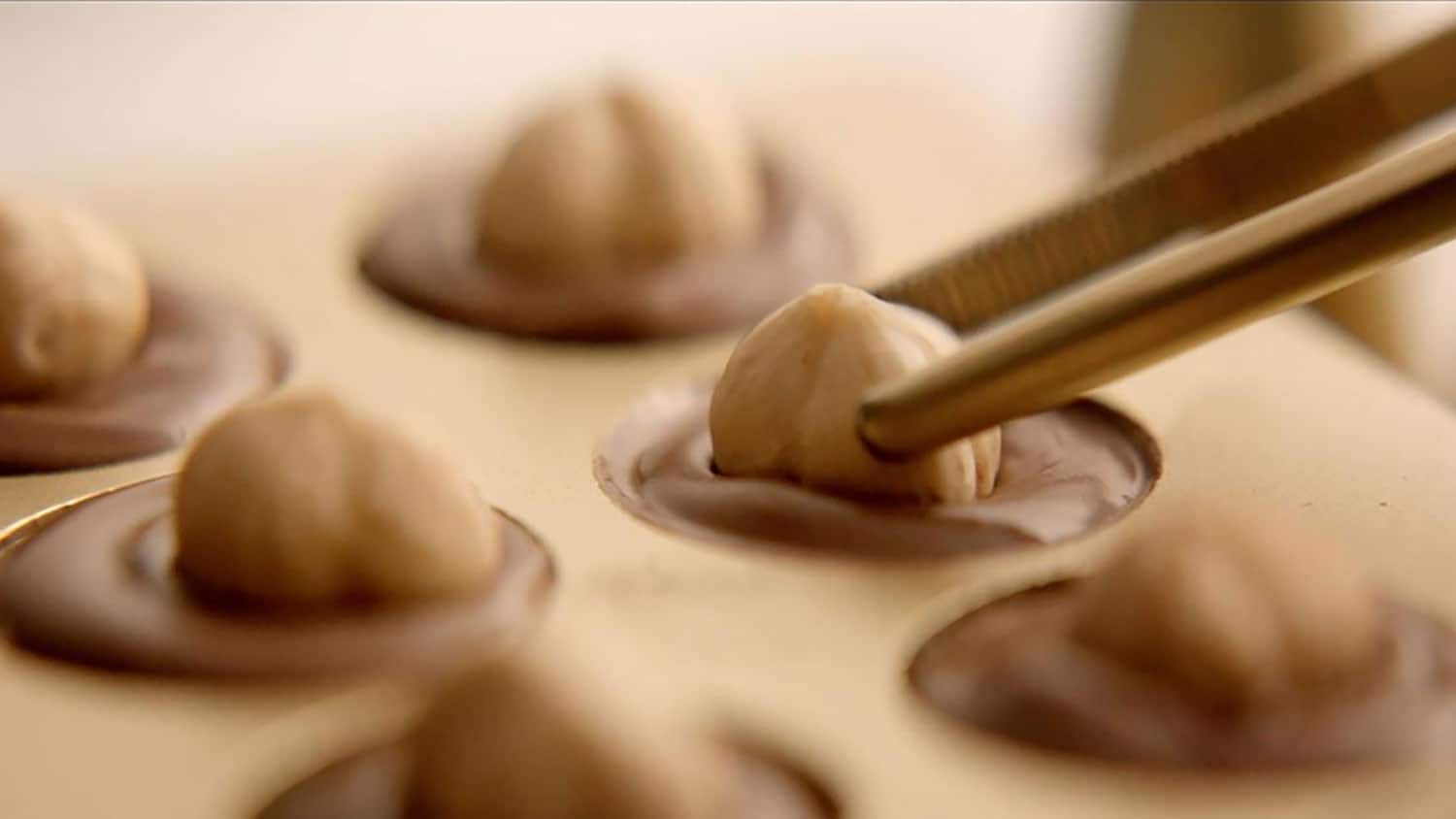 Ferrero & our commitment to sourcing high quality hazelnuts