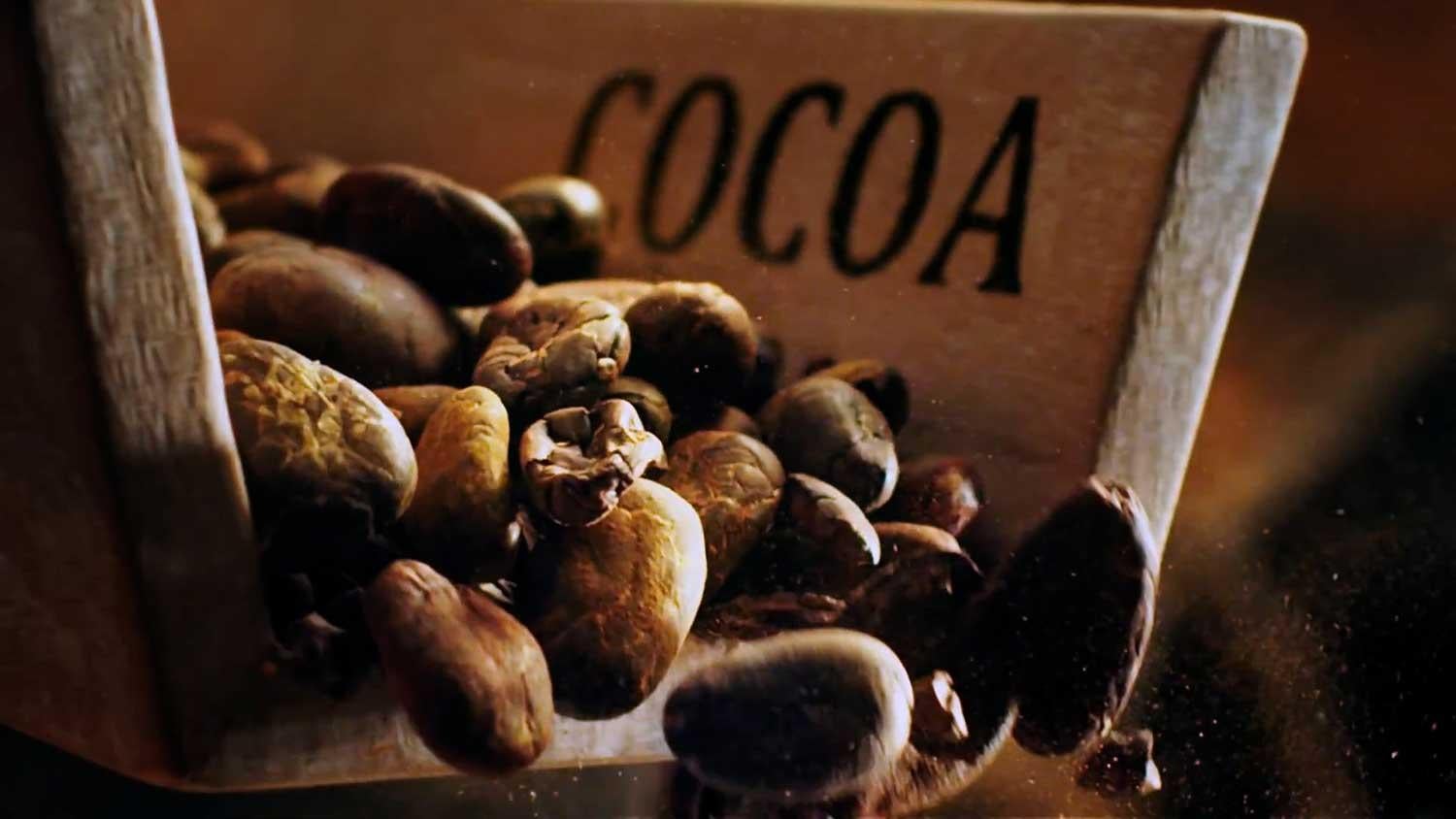 Our commitment to responsibly sourced cocoa