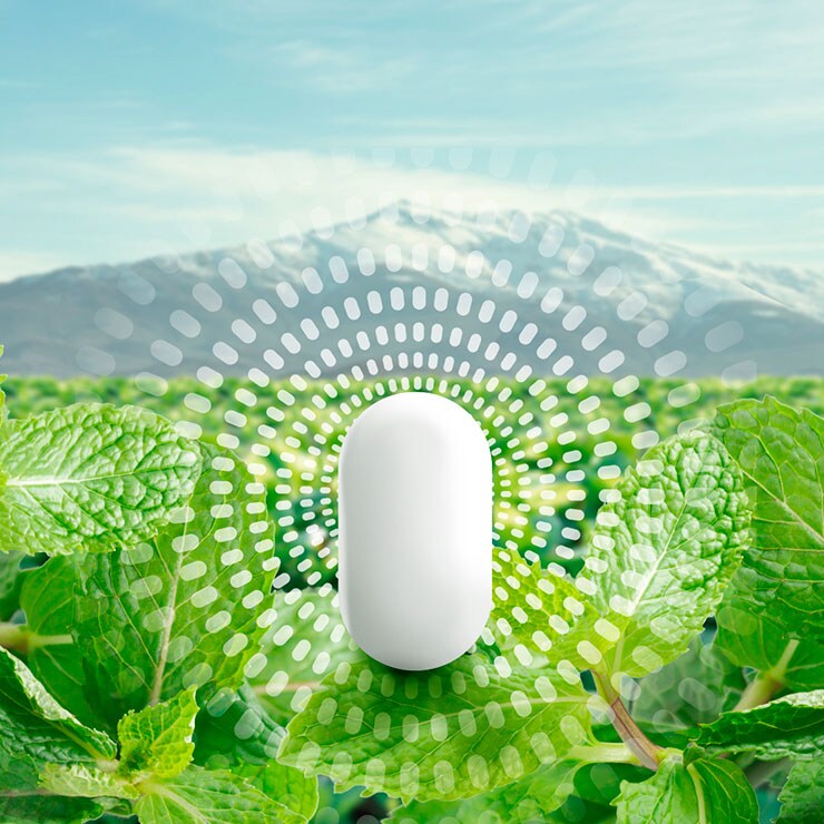 Une pastille Tic Tac sur une plante de menthe