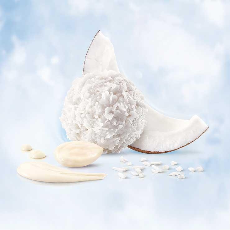 Raffaello Hub