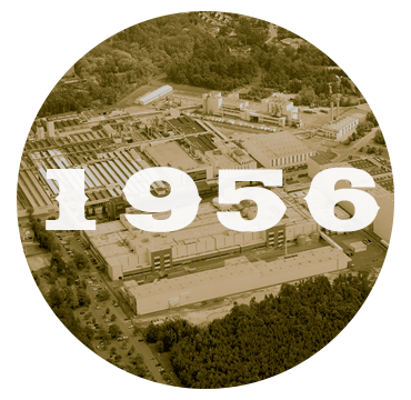 1956