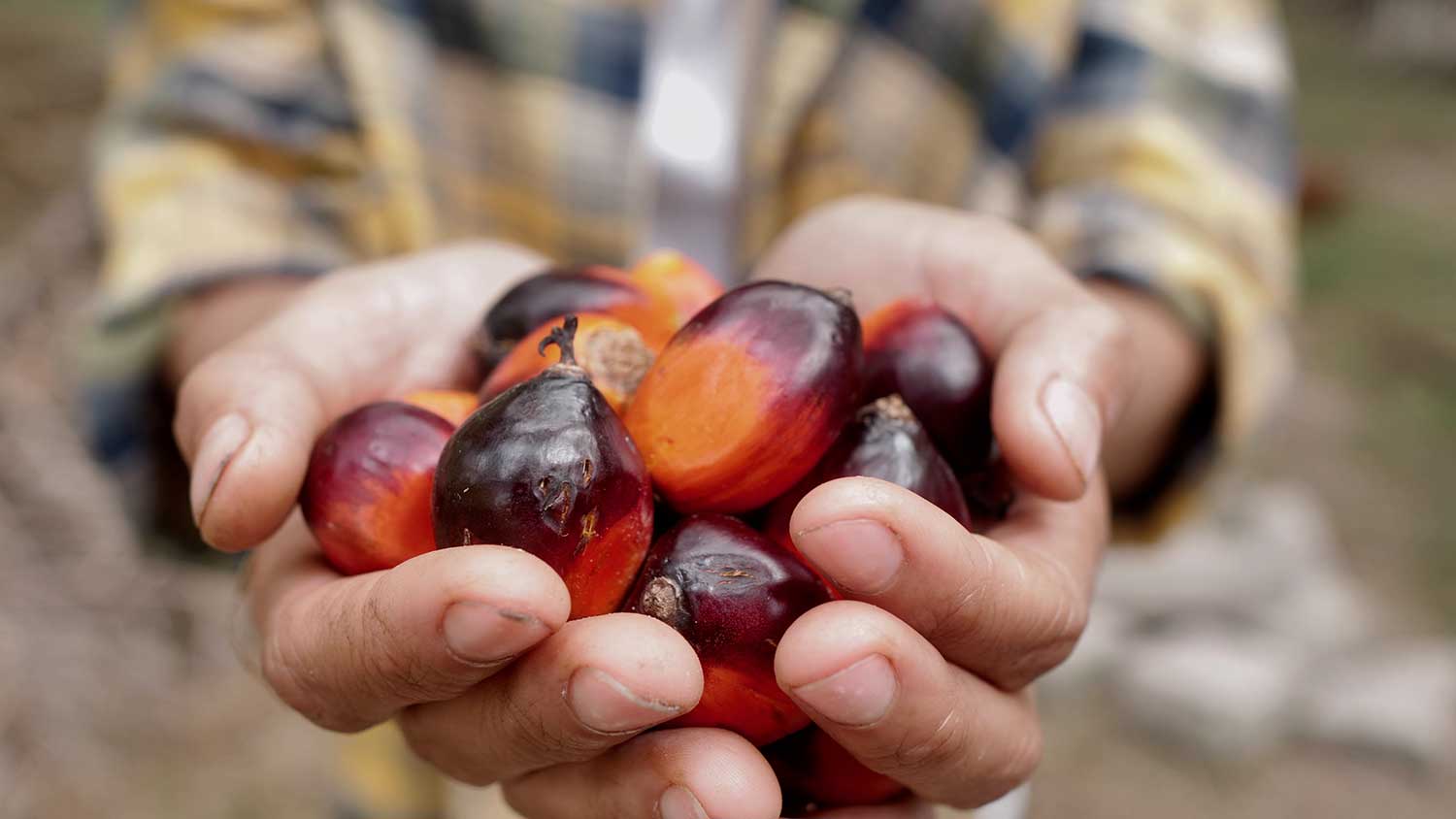 Nuestro compromiso con la biodiversidad