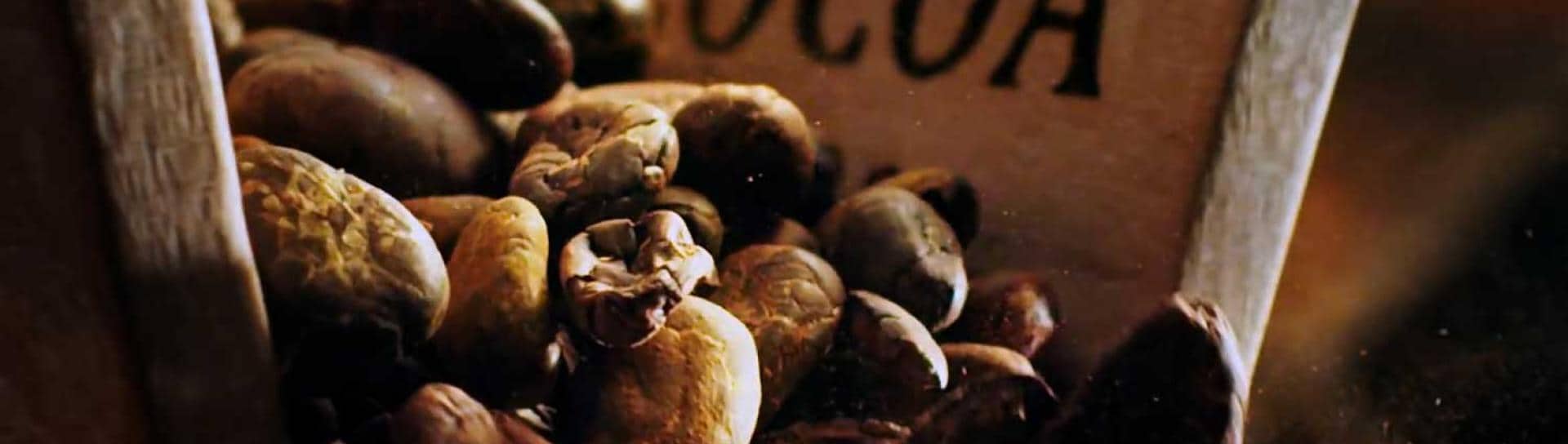 Nuestro compromiso con el cacao de origen responsable