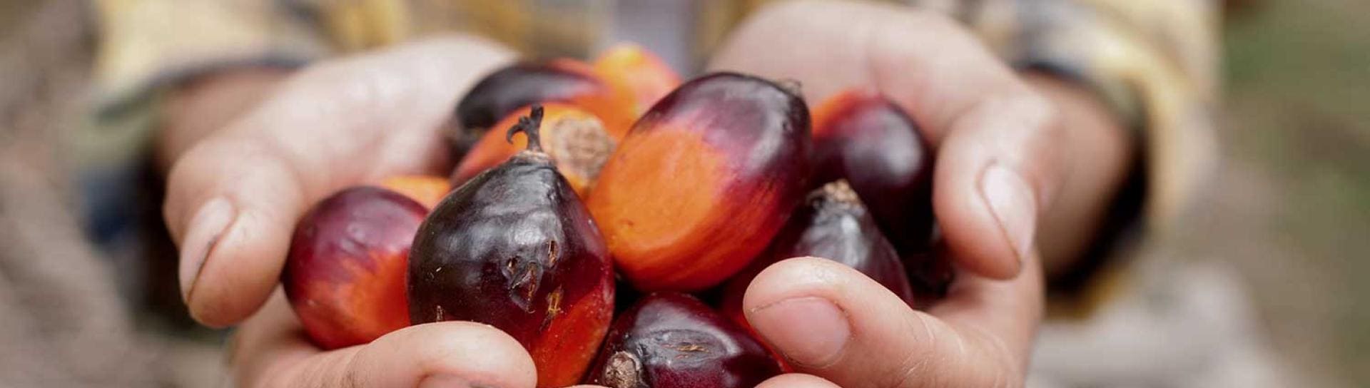 Nuestro compromiso con la biodiversidad